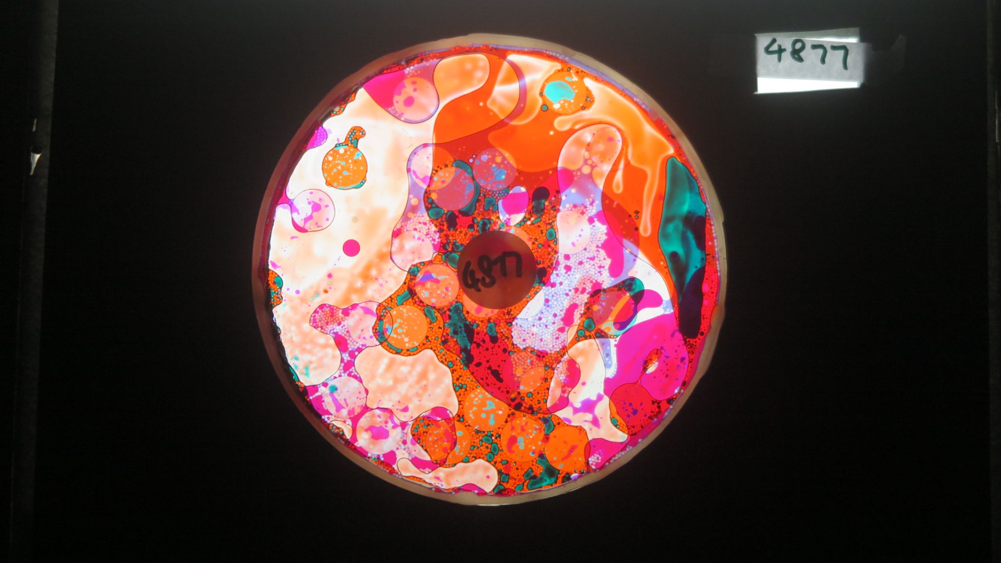 Bv4877 bubble vision oil wheel